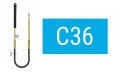   C36